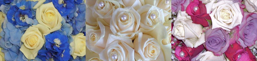 Banner-Bouquet-1