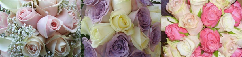 Banner-Bouquet-2